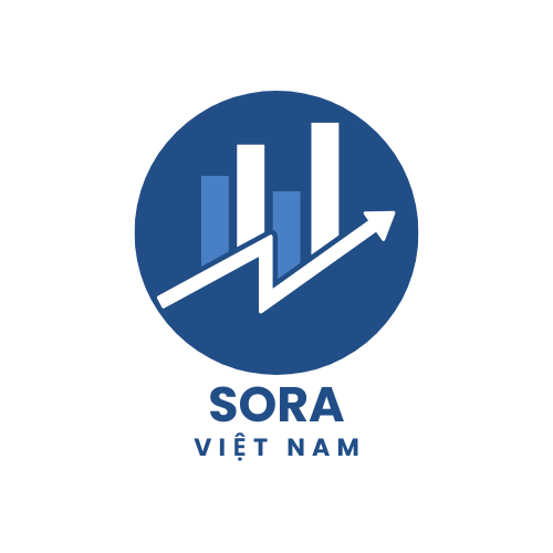 SoraVN Agency